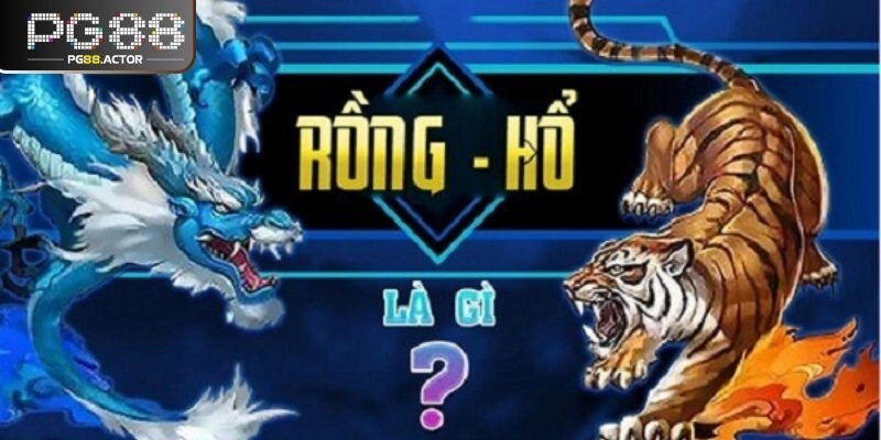 Khám phá trò chơi bài rồng hổ online