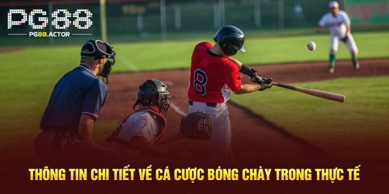 Giới thiệu sơ lược về cá cược bóng chày